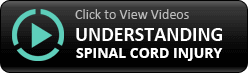 Understanding Spinal Cord Injury